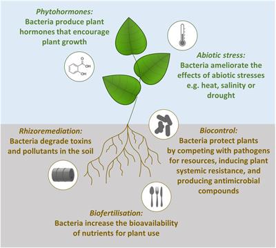 Application of Transposon Insertion Sequencing to Agricultural Science